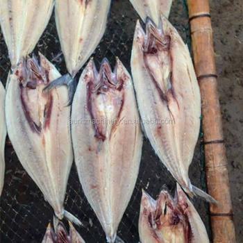 Peixes traseiros da máquina da barriga da abertura dos peixes da máquina da abertura dos peixes 1PCS/S automáticos eficientes altos que cortam a máquina de processamento do cortador