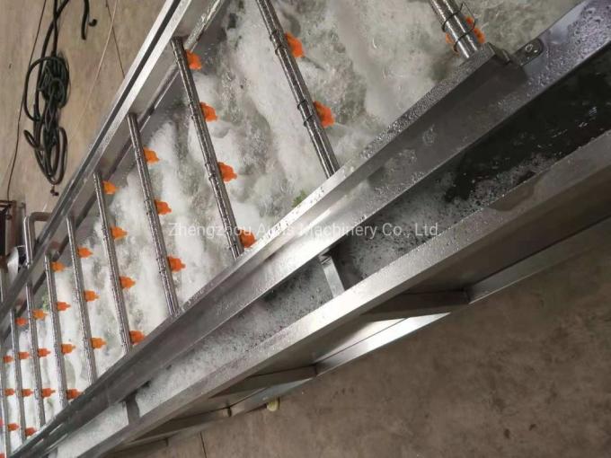 Noz de descascamento da máquina do núcleo industrial da noz que descasca processando a linha de produção