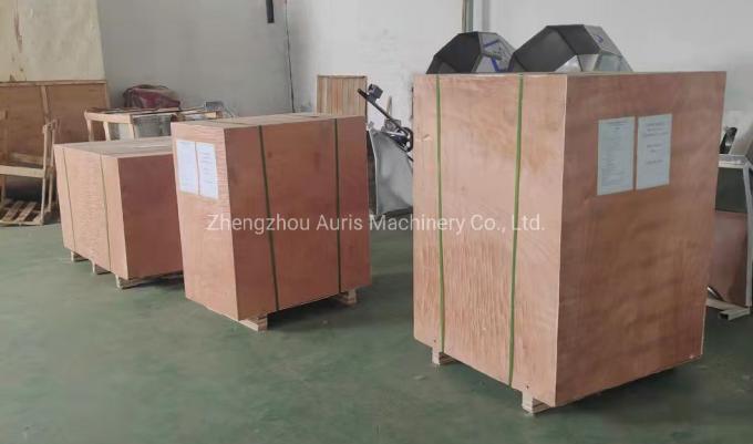 Noz de descascamento da máquina do núcleo industrial da noz que descasca processando a linha de produção