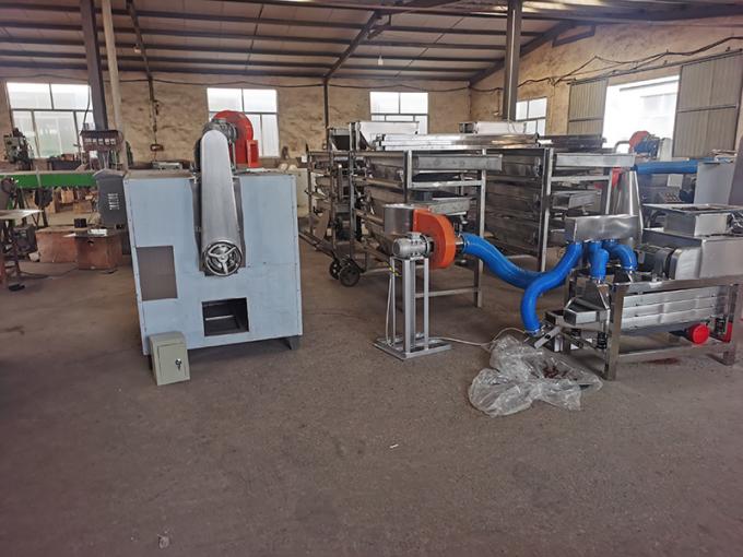 Cacau Bean Roasting Machine Roaster da porca de caju do café do alimento