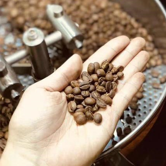 Máquina de cozimento pequena de alta qualidade do quilograma Diedrich Coffee Bean Roaster Roasting do Toper 5 do gás elétrico do preço baixo com colher da amostra