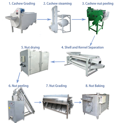 máquina de processamento do caju da capacidade 100kg semi automática para o uso da fábrica