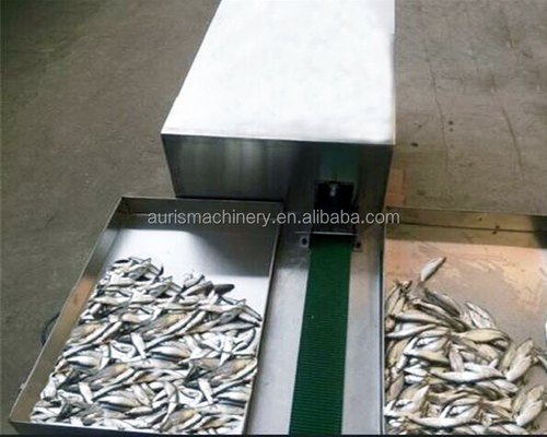 máquinas de processamento dos peixes 1800pcs/H que abrem para trás a estripação da máquina de corte dos peixes limpa